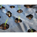 Weed Mat with Holes/Ground Cover/Landscape Fabric/Garden Cover